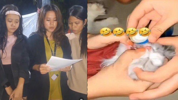 Tiga wanita yang cekoki kucing pakai minuman keras alias miras memelas saat meminta maaf di depan publik.
