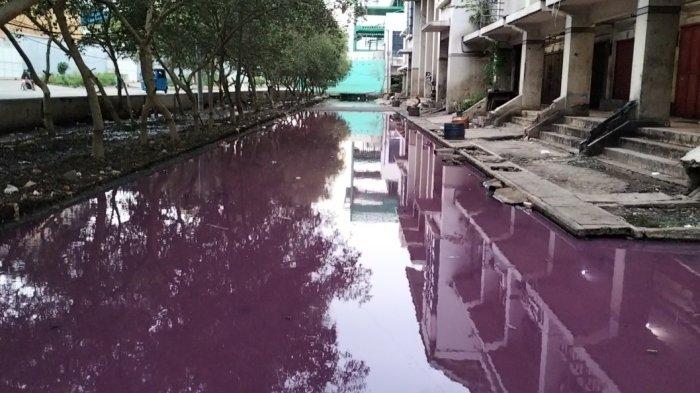 Fenomena banjir berwarna ungu terjadi di Pelabuhan Perikanan Samudera Nizam Zachman Muara Baru, Penjaringan, Jakarta Utara.