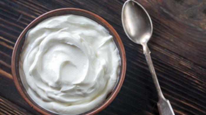 Ilustrasi Greek yoghurt