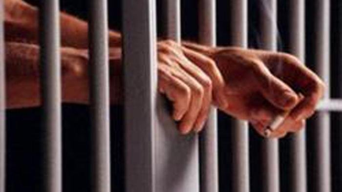 jakarta.tribunnews.com