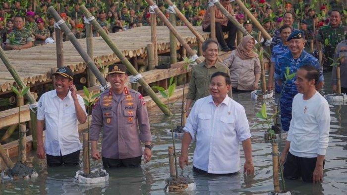 Presiden Joko Widodo (Jokowi) dan Menteri Pertahanan sekaligus Ketua Umum Partai Gerindra Prabowo Subianto kompak hadir di acara Puncak Penanaman Mangrove Nasional Secara Serentak yang digelar jajaran TNI di Taman Wisata Alam, Angke, Jakarta Utara, Senin (15/5/2023).