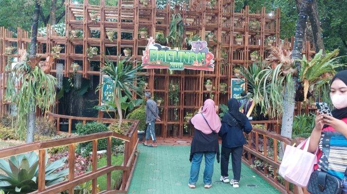 Ada Wahana Ragunan Zoo di Taman Lapangan Banteng, Sejumlah Koleksi Satwa Awetan Diperkenalkan ke Masyarakat