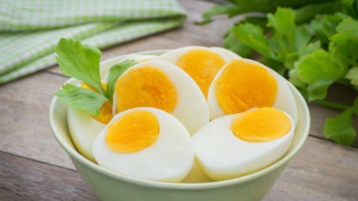 Ilustrasi telur.