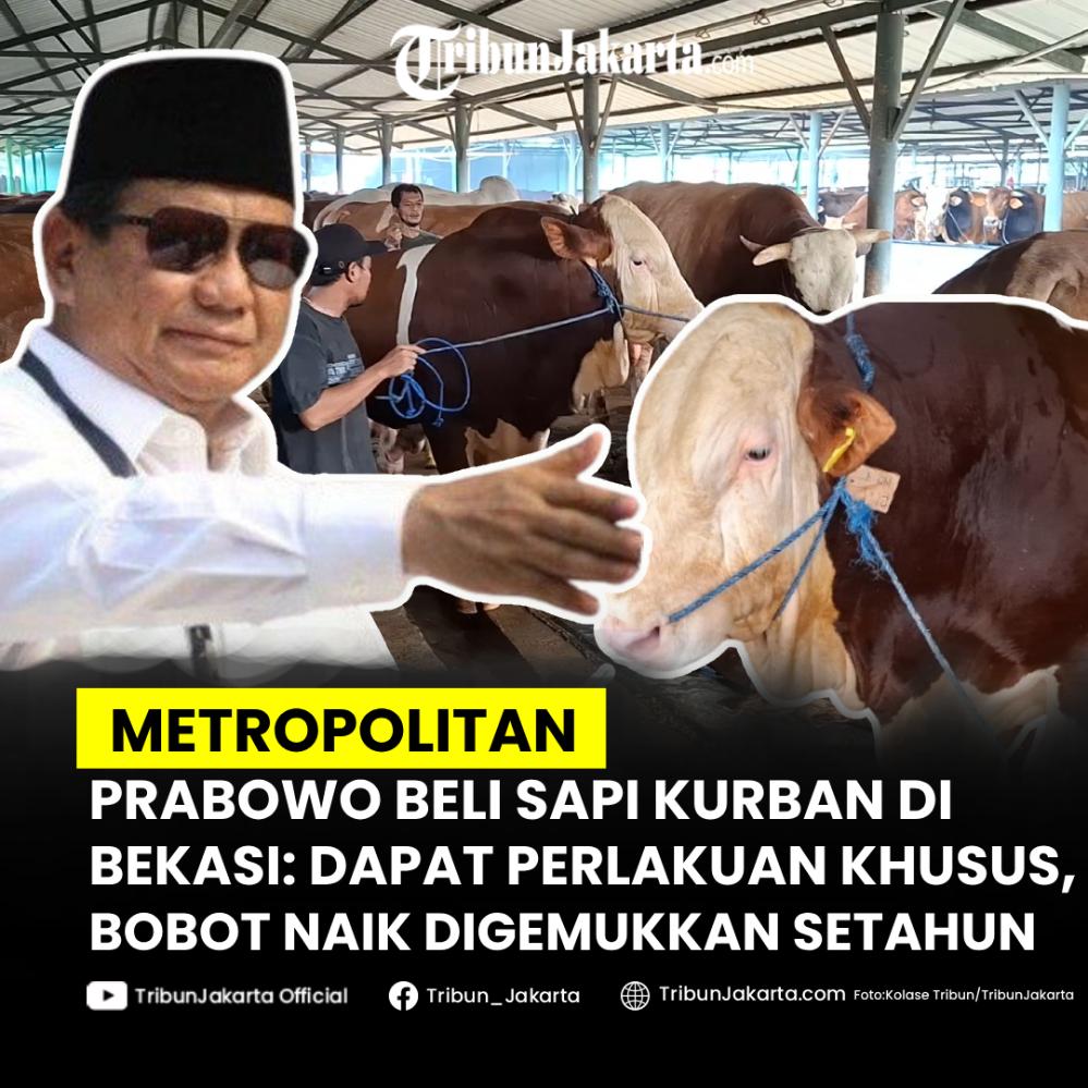 Sapi kurban Presiden Prabowo dibeli dari peternakan BBS Farm di Kecamatan Jatiasih, Kota Bekasi. Sapi kurban yang dibeli Prabowo merupakan jenis simmental unggulan dan sudah setahun digemukkan di peternakannya. Bobotnya saat ini meningkat drastis hingga mencapai satu ton lebih. 