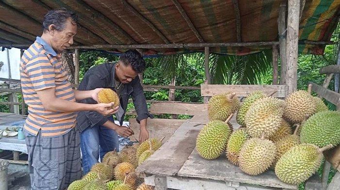 Penjual durian di jalan lintas Sumatera, Desa Selat, Kecamatan Pemayung, Batanghari, Jambi.