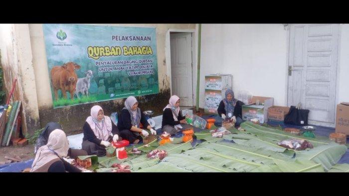 KURBAN - Yayasan Sumatera Rindang menyembelih 5 ekor sapi dan 12 ekor kambing dari para ahlul qurban dalam rangka Idul Adha 1446 H.