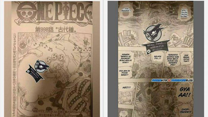 Rawr Scan One Piece 998 Spesies Kuno - Chopper Buat Penawar, Luffy ke