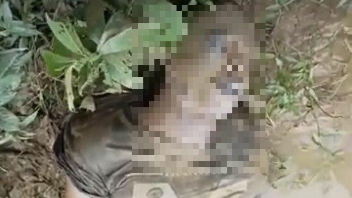 Kepolisian Polsek Telanaipura, Polresta Jambi melakukan olah tempat kejadian perkara atau olah TKP di lokasi penemuan mayat tanpa identitas di tepi Sungai Batanghari.