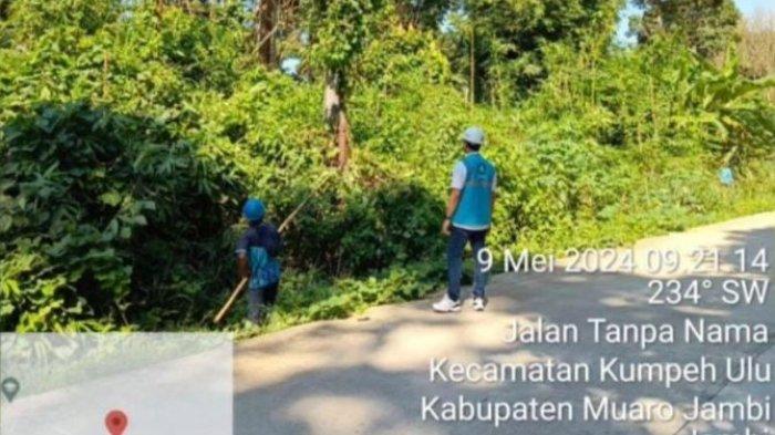 Pemeliharaan jaringan oleh petugas PLN