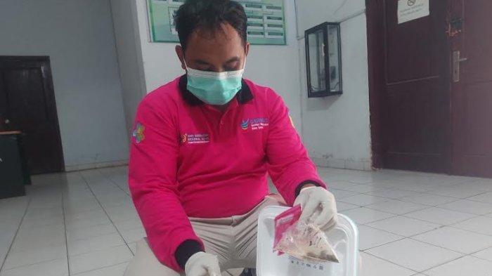 2 SAD di Tebo Jambi Meninggal Dunia Setelah Makan Madu Klanceng dari Hutan