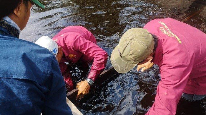 Badan Restorasi Gambut dan Mangrove (BRGM) Republik Indonesia kunjungan kerja di Desa Pandan Sejahtera Kecamatan Geragai, Kabupaten Tanjab Timur, Senin (6/5/24).