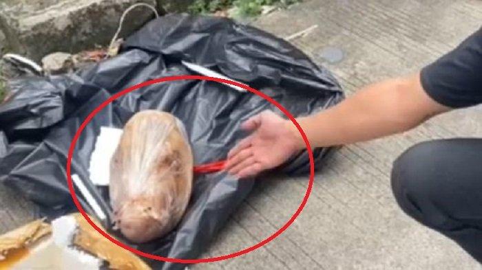 TEROR: Paket berisi kepala babi yang ditujukan kepada wartawan Tempo, Francisca Christy Rosana di kantor Tempo, Palmerah, Jakarta, 20 Maret 2025. Lembaga Perlindungan Saksi dan Korban (LPSK) juga memberikan pernyataan sikap dengan menyebutkan aksi itu adalah ancaman kebebasan pers dan pentingnya mekanisme perlindungan jurnalis. (Tempo)