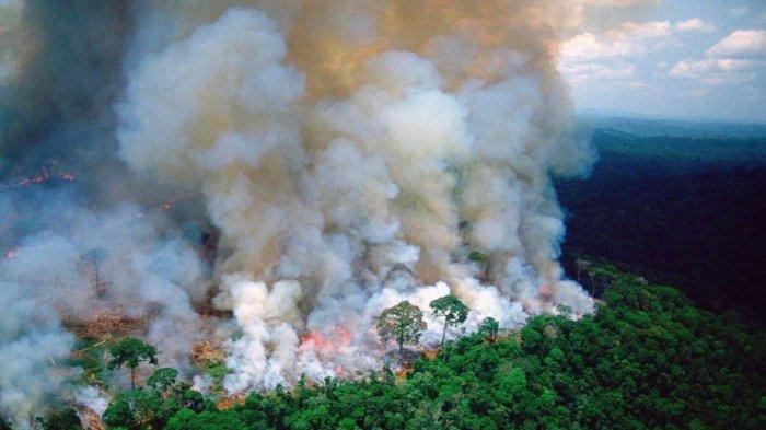 Kebakaran hutan Amazon Brasil Sebelumnya
