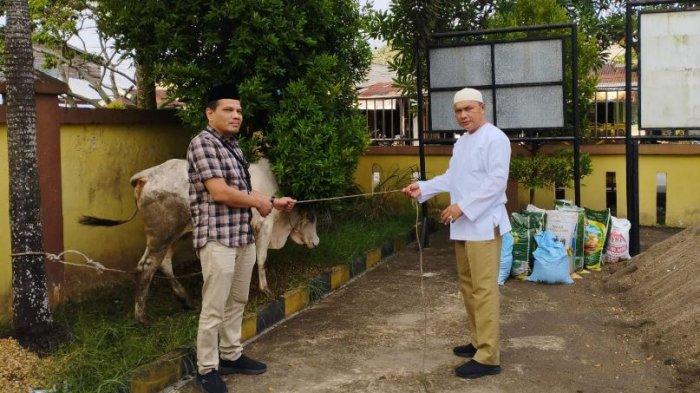Dinas Pendidikan dan Kebudayaannya (Disdikbud) Kabupaten Tanjung Jabung Barat (Tanjabbar) sembelih 2 ekor hewan kurban jenis sapi