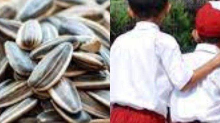 Bocah Dihukum Makan Kuaci Beserta Kulitnya