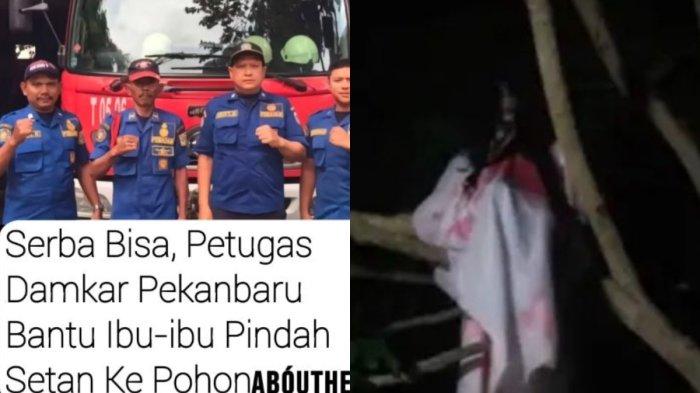 Petugas damkar ditelpon untuk pindahkan setan ke pohon.