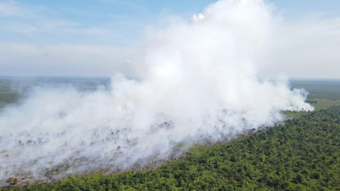 KARHUTLA MELUAS - Kebakaran hutan dan lahan (karhutla) di Desa Gambut Jaya, Kecamatan Sungai Gelam, Kabupaten Muaro Jambi, terus meluas.