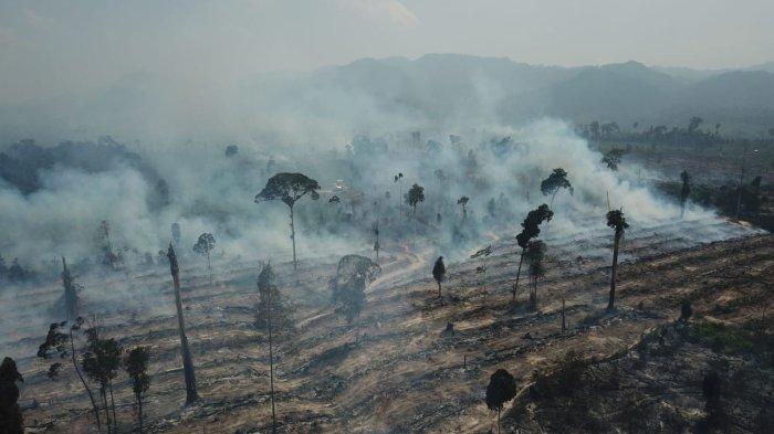 Kebakaran hutan dan lahan masih terjadi di lahan konsesi PT Alam Bukit Tigapuluh (ABT) yang berlokasi di Desa Pemayungan, Kecamatan Sumay, Tebo.