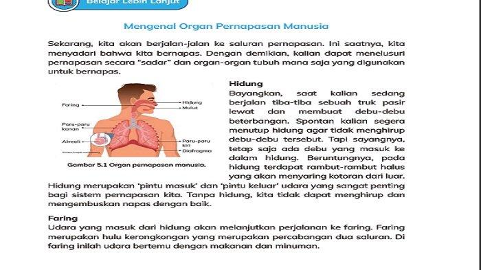 Mengenal Sistem Organ Tubuh Pada Manusia - Sampoerna Academy - Program Mengenal Sistem Organ Tubuh Pada Manusia - Sampoerna Academy - Program