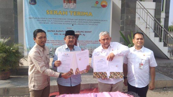 SKK-Migas PetroChina Serahkan 29 Sapi ke Kelompok Tani di Kuala Tungkal