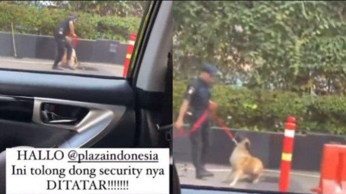 Sekuriti Pukul Anjing