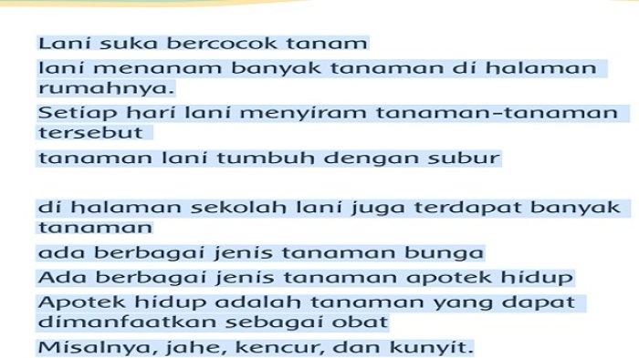 Tanaman Lani