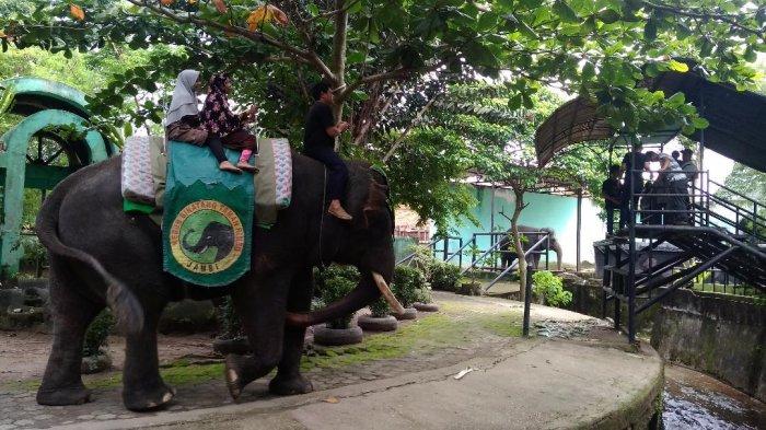 Taman Rimba di Jambi yang cocok untuk liburan bareng keluarga.