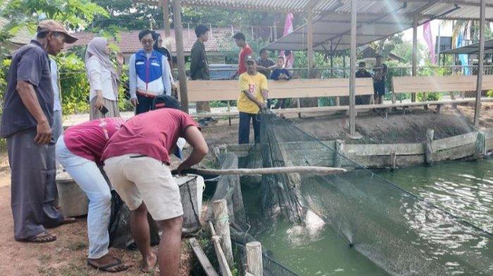 Inovasi Pertamina Menyejahterakan Para Lansia Melalui Program Desa Energi Berdikari Lansia SEBAYA