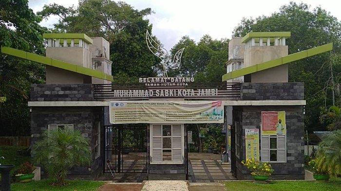 Hutan Kota Muhammad Sabki bisa menjadi pilihan yang tepat untuk brwisata sekaligus berburu kuliner di Jambi.
