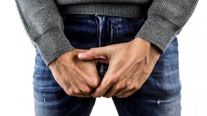 Ilustrasi-alat vital