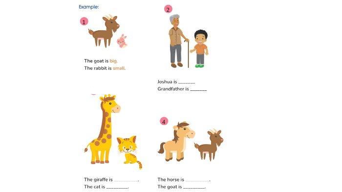 Berikut kunci jawaban Bahasa Inggris untuk SD Kelas 5 semester 2 Buku My Next Words For Elementary School Kurikulum Merdeka Halaman 74-75 Unit 7. How tall are you.