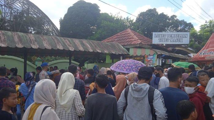 Di akhir pekan ratusan pengunjung dari berbagai daerah ke Taman Rimba untuk menyaksikan gajah.