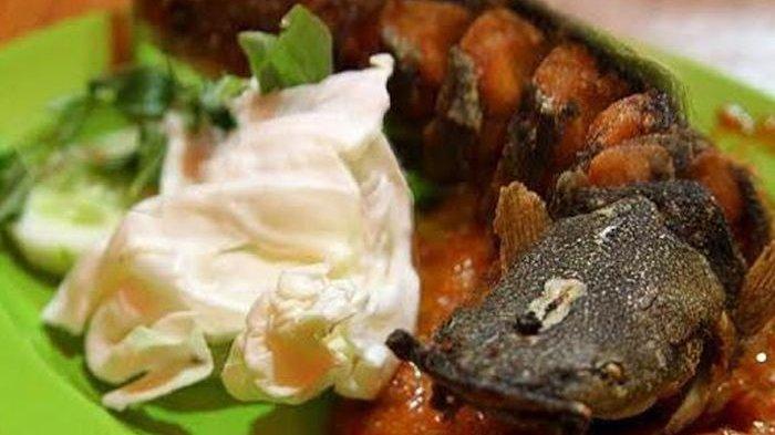 Resep pecel lele goreng