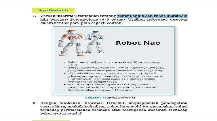 robot Sophia dan robot humanoid