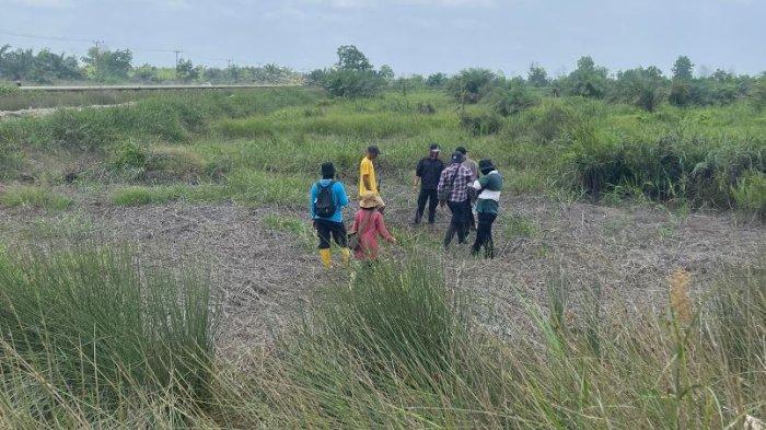 Selasa 27 Agustus 2024 lalu, tim gabungan melakukan pengecekan terhadap karhutla di lahan yang disebut-sebut masuk dalam konsesi PT AMM, di Desa Pematang Buluh, Kecamatan Betara, Kabupaten Tanjab Barat.