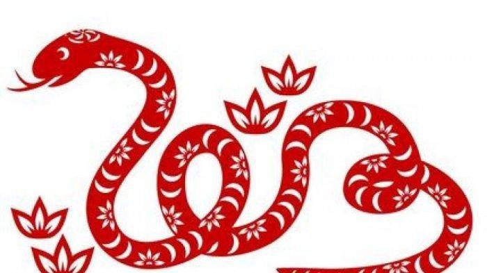Shio Ular - Ramalan Keberuntungan Shio Ular 2021 di Tahun Kerbau Logam, Bunga Anggrek dan Kaktus