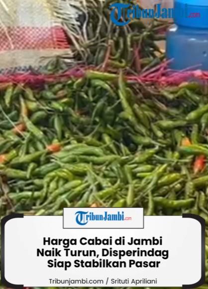 Harga Cabai Naik Turun, Disperindag Kota Jambi Stabilkan Pasar