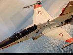 pesawat-jet-tempur-t-50-golden-egale-1.jpg