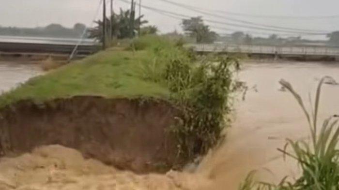 JEBOL - Tanggul Kali Sungai Buangan (KB-1) di Desa Rowosari, Kecamatan Gubug, Kabupaten Grobogan jebol hingga aliran sungai membanjiri persawahan warga, Rabu (18/6/2025).