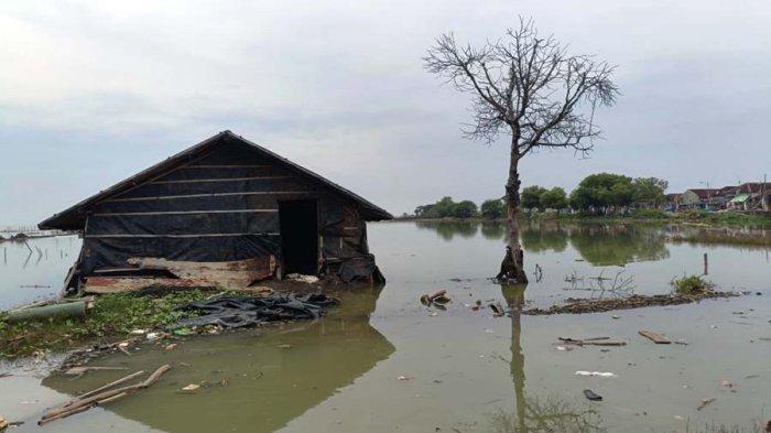 BANJIR ROB - Kondisi salah satu rumah warga Desa Surodadi, Kecamatan Kedung, Kabupaten Jepara yang terdampak banjir rob, Senin (23/6/2025). Mayoritas warga di desa tersebut terpaksa harus meninggikan rumah mereka agar tidak terendam ganasnya air rob imbas abrasi.