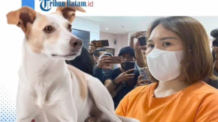 ROSLIANA TERDANGKA- Rosliana tega memaksa Intan, ART nya untuk makan kotoran anjing. Gara-garanya, Intan lupa menutup pintu kandang anjing