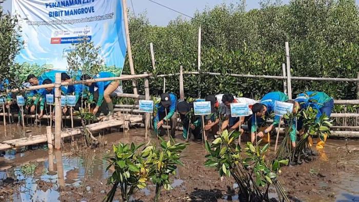TANAM MANGROVE - Pertamina bersama warga Tambakrejo dan stakeholder terkait melakukan penanaman pohon mangrove, Senin (28/7/2025). 