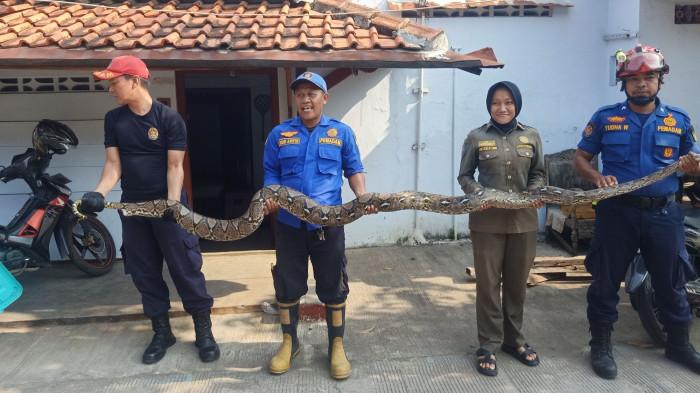 20250729_Petugas Damkar Kota Pekalongan