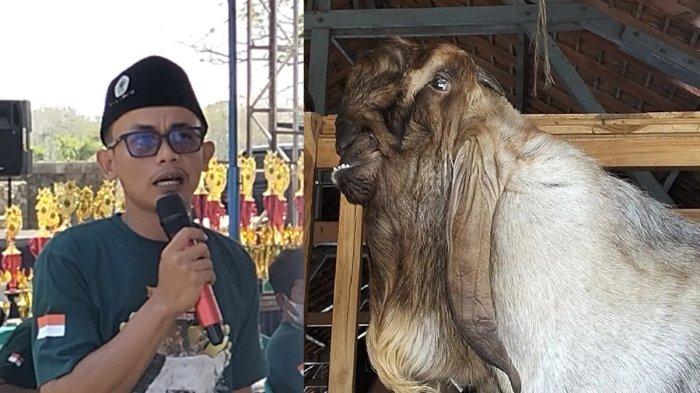 Ajisena (kanan) Kambing PE Ras Kaligesing milik Arif Hidayatullah (kiri) warga Dukuh Sumberejo, Desa Sumberagung Kecamatan Banjarejo, Kabupaten Blora.
