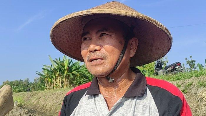 DARMADI- Darmadi petani RT 001 RW 006 Desa Putatnganten Kecamatan Karangrayung, Grobogan mengeluhkan ancaman terputusnya generasi petani di masa mendatang, Minggu (13/4/2025).