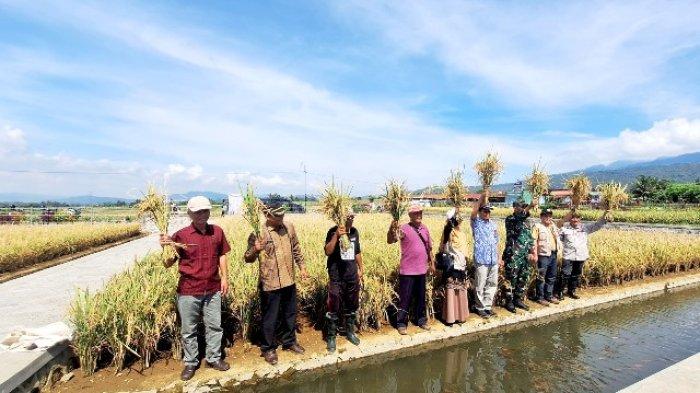 Dukung Pencapaian IP 400, UNSOED Terapkan Rekayasa Teknologi Minapadi Protani Salibu
