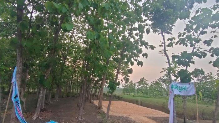 Pemasangan APK Tak Sesuai Regulasi Bawaslu Blora Beri Saran Perbaikan