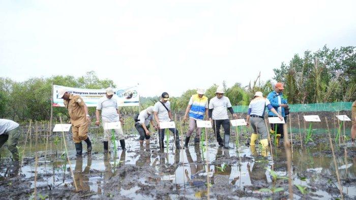 Hari Lingkungan Hidup 2024, Kilang Cilacap & Perum Jasa Tirta Tanam 100.000 Mangrove