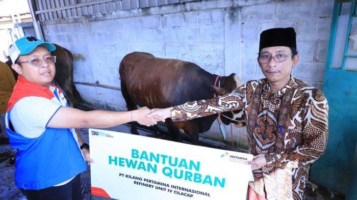 Idul Adha 1445 H, Kilang Pertamina Cilacap Salurkan Ratusan Hewan Kurban