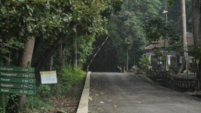 Ilustrasi masuk Taman Nasional Alas Purwo, Banyuwangi, Jawa Timur.
